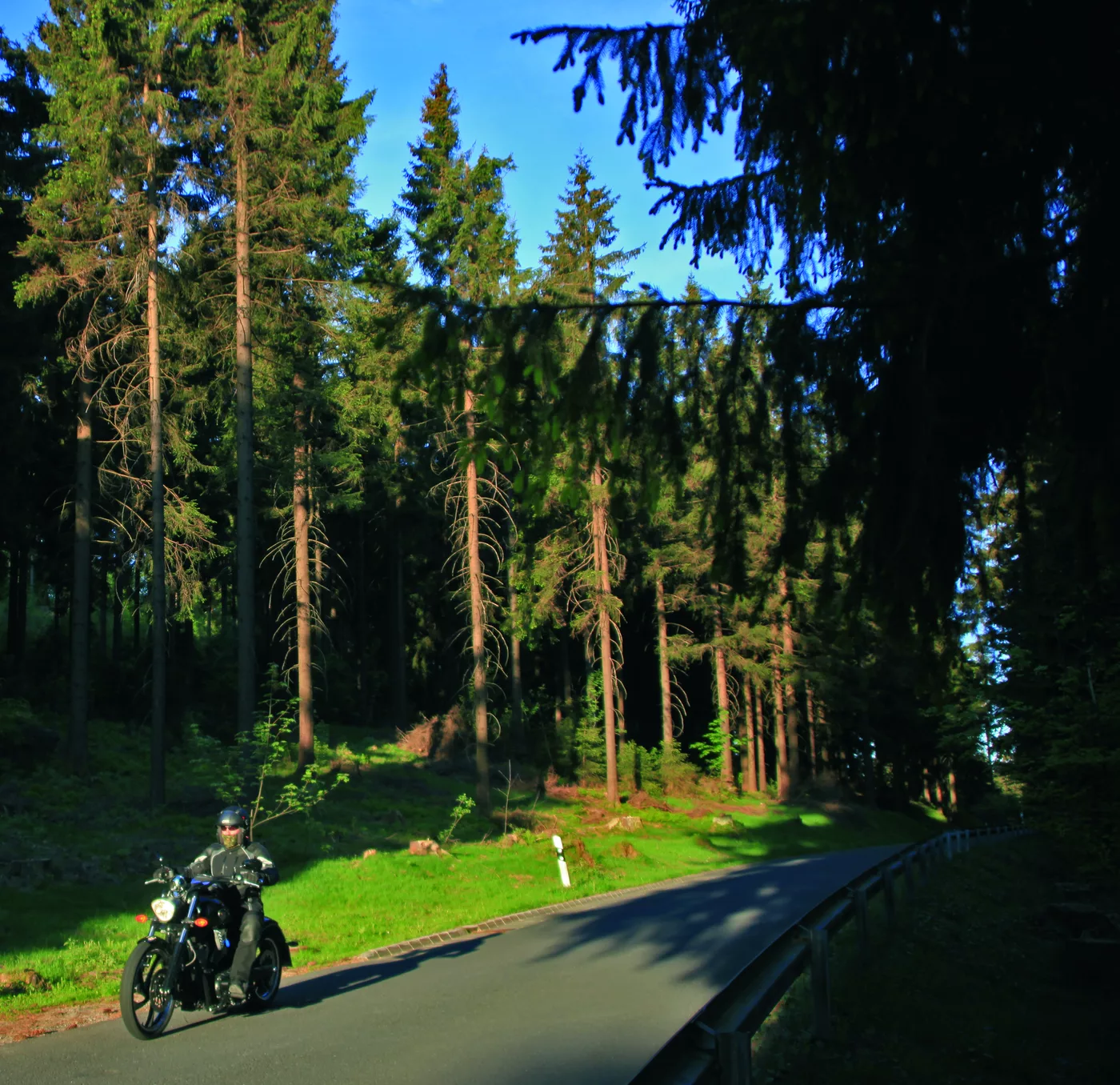 Motorrad auf einer Straße durch dichten Mischwald Motorrad auf einer Straße durch dichten Mischwald